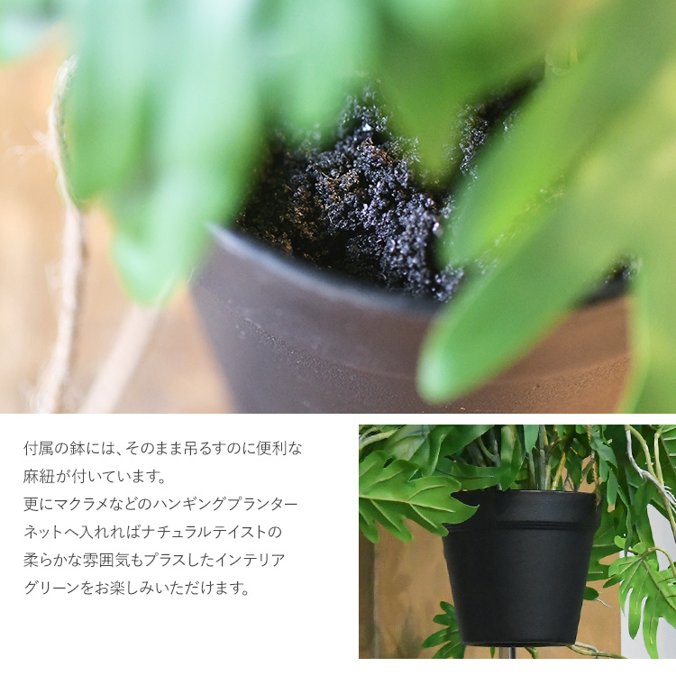【大特価！】ハンギングポット　定価42,000円　観葉植物 楽天市場】ハンギング プランター（サイズ（植木鉢）4 ～ 6号）の通販