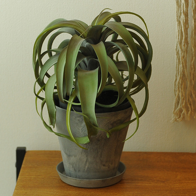 観葉植物 チランジア 造花 卓上 リアル グリーン デスク おしゃれ 多肉