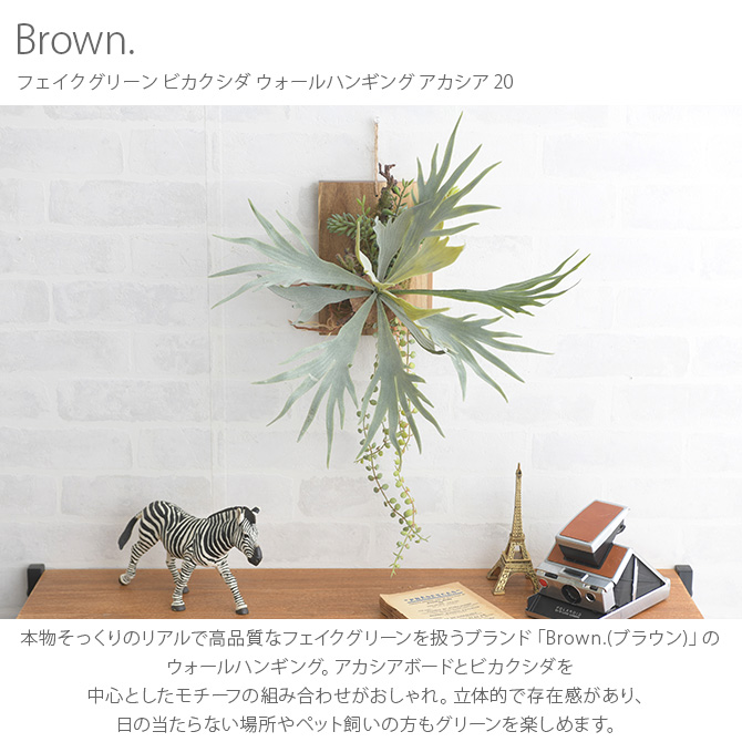 フェイクグリーン 壁掛け 額 ブラウン ビカクシダ ウォールハンギング