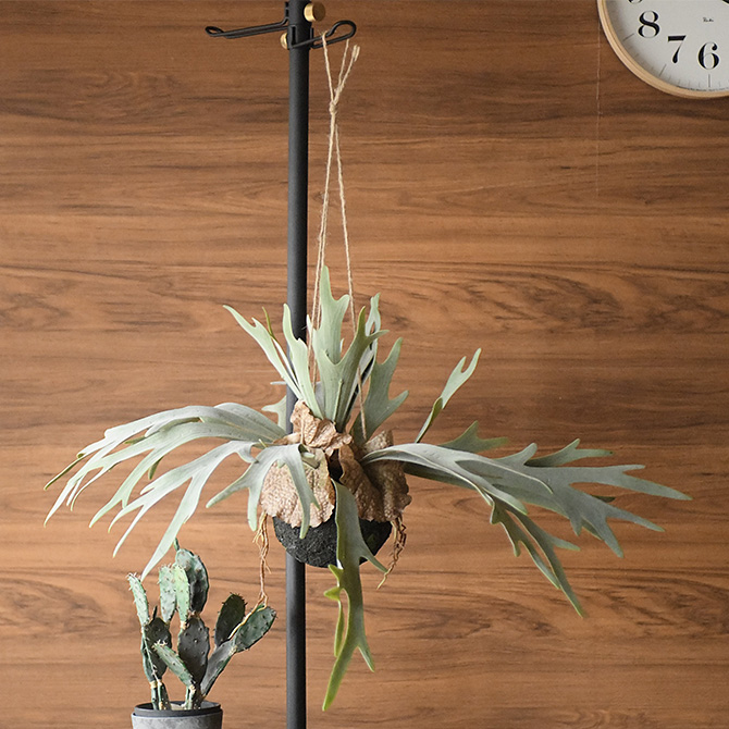 観葉植物 コウモリラン 造花 ハンギング グリーン リアル