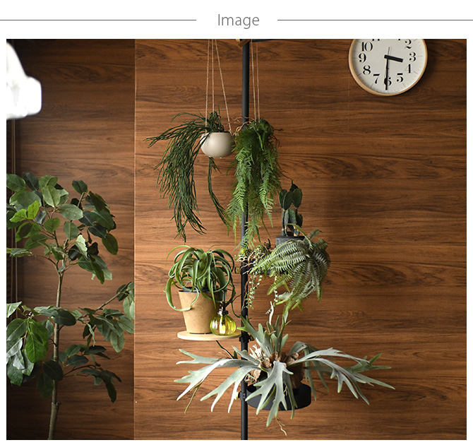 Brown. ブラウン フェイクグリーン ファーン ハンギングボール 53 観葉植物 造花 グリーン おしゃれ インテリア ディスプレイ 装飾 多肉植物 飾り 緑 