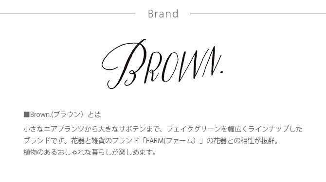 Brown. ブラウン フェイクグリーン ファーン ハンギングボール 53 観葉植物 造花 グリーン おしゃれ インテリア ディスプレイ 装飾 多肉植物 飾り 緑 