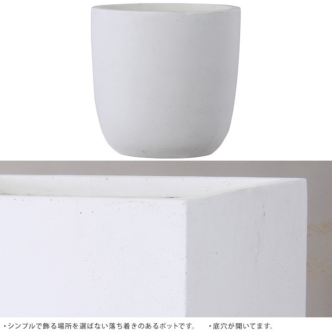 コンクリート 鉢 飾らないままを飾る ラウンド 直径43cm 大きい