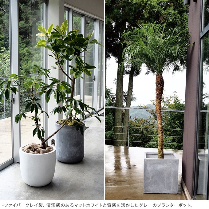 楽天市場】鉢カバーフラワーポット 植木鉢 おしゃれ 陶器鉢 ミニ
