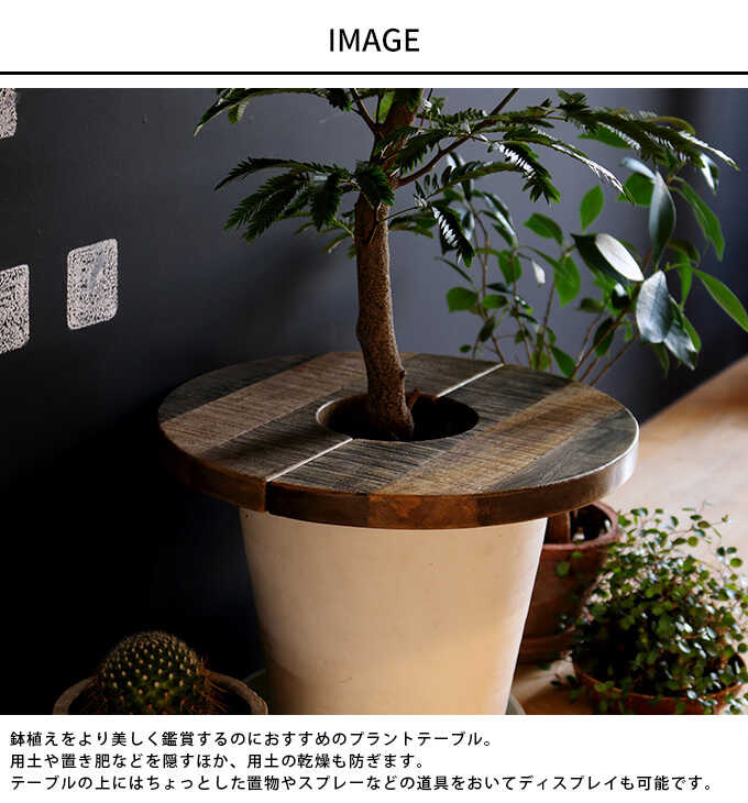 プラントテーブル 天板 サイドテーブル コーヒーテーブル 木 木製 