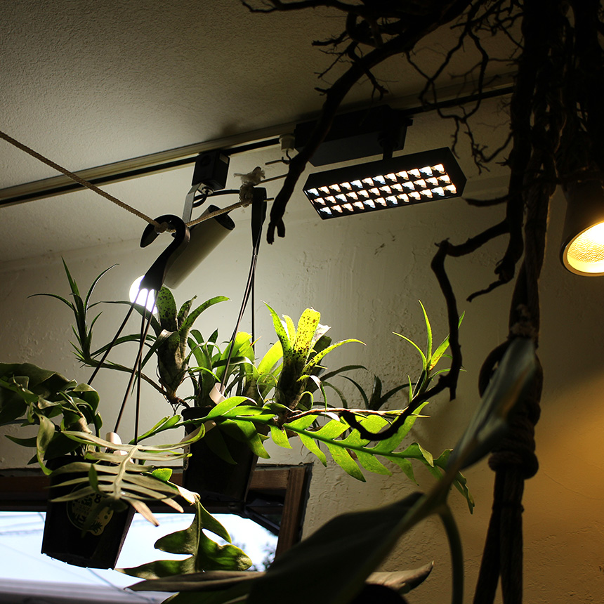 植物育成LED 2個セット【ダクトレール用スポットライト】 mpg-4644_2.jpg