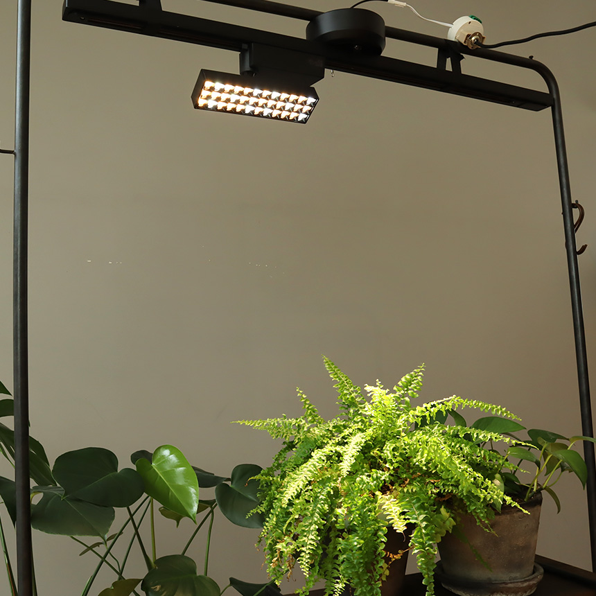 植物ライト ダクトレール 電源 室内 インテリア 多肉 植物 園芸