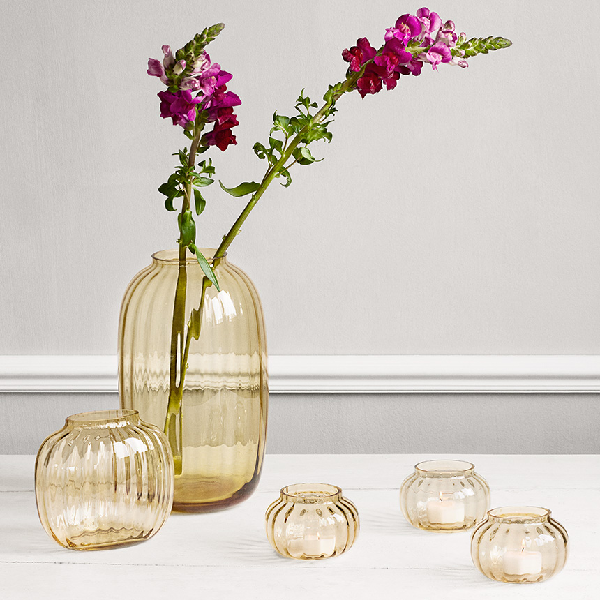 HOLMEGAARD ガラス花瓶 ホルムガード Primula ベース クリア 高さ25.5