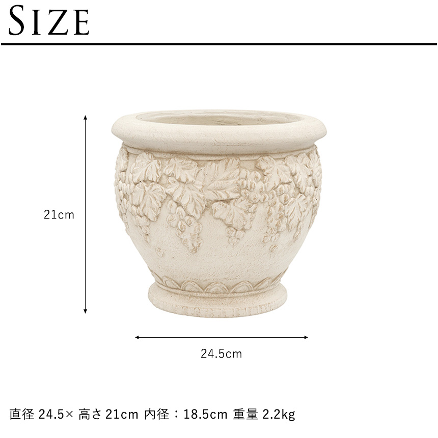 アンティークコンフィポット/フランスアンティーク雑貨 花器