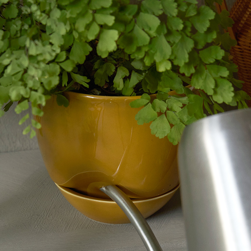 植木鉢 自動給水 ハイドロカルチャー 鉢 容器 Audo Copenhagen