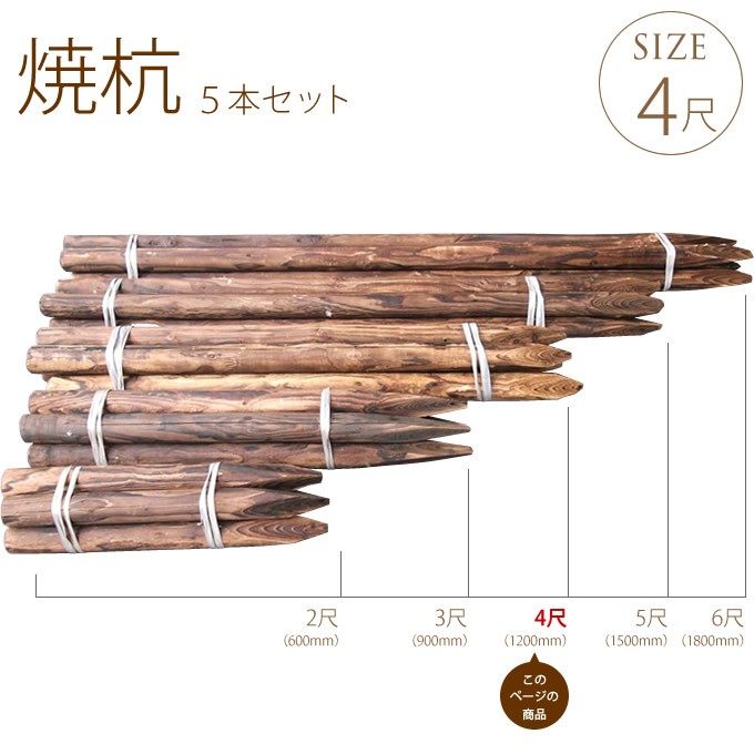 丸杭 焼 4尺(約120cm) 5本セット 支柱 竹垣 固定 造園 木杭 : Nester