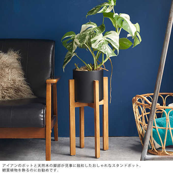 Clay（クレイ） プランタースタンド 室内 視線の高さに植物を ウッド