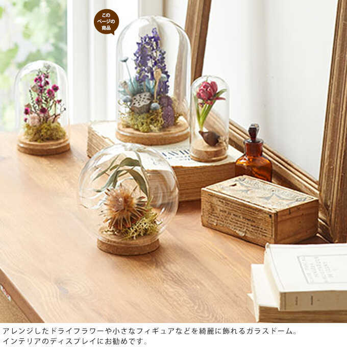 pg-27158_1.jpg