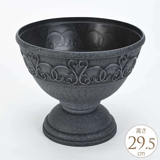 pg-29281.jpg