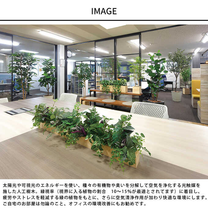 光触媒　人工観葉植物　ウォールグリーン　ウッドボックスポリシャス1.0m フェイクグリーン 鉢植え 大型 ウッドボックス ポリシャス 1m 人工