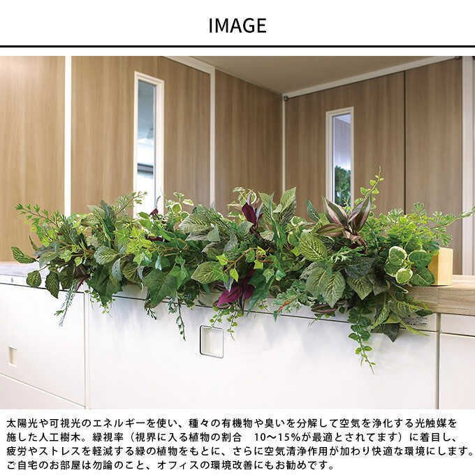 全品無料日本製 フェイクグリーン/観葉植物 幅100x高さ40cm その他