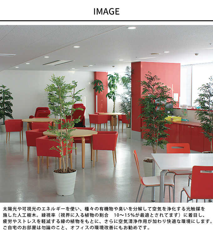 光触媒　人工観葉植物　フェイクグリーン　アーバンパキラ1.8m フェイクグリーン 鉢植え 大きい 観葉植物 鉢 アーバンスタイル パキラ