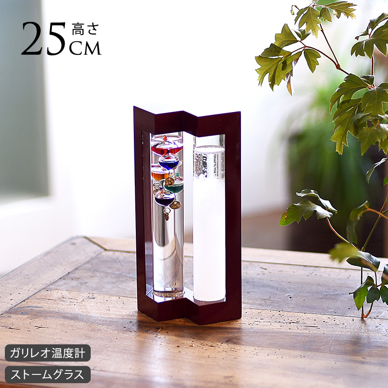 インテリア 置物 おしゃれ ガリレオ温度計＆ストームグラス 13cm×25cm