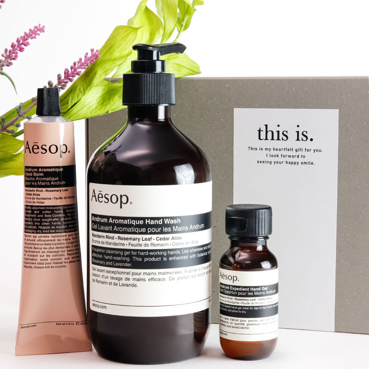 イソップ Aesop アンドラムハンドウォッシュ 500ml+アンドラムハンドウォッシュ 50ml+アンドラム(アロマティック/レスレクション)ハンドバーム75mlギフトセット