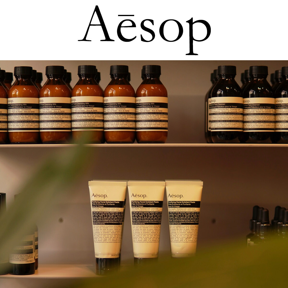 イソップ ギフト Aesop アンドラム エクスペリエント 正規品 ハンドジェル 50ml ハンドウォッシュ アルコール ジェル 通販 2024