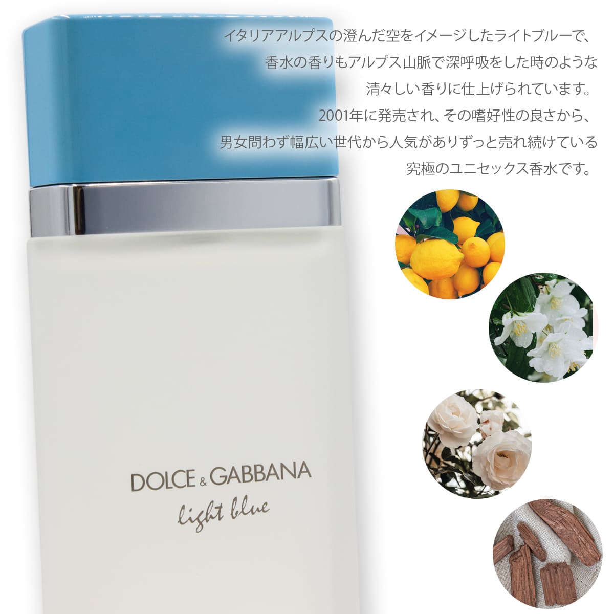 DOLCE&GABBANA（ドルチェ & ガッバーナ） D&G ドルガバ 香水 ライト