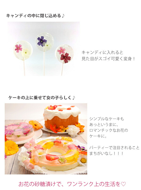 デメル スミレの砂糖漬け45g すみれの花の砂糖づけ 贈答品 手土産 贈答