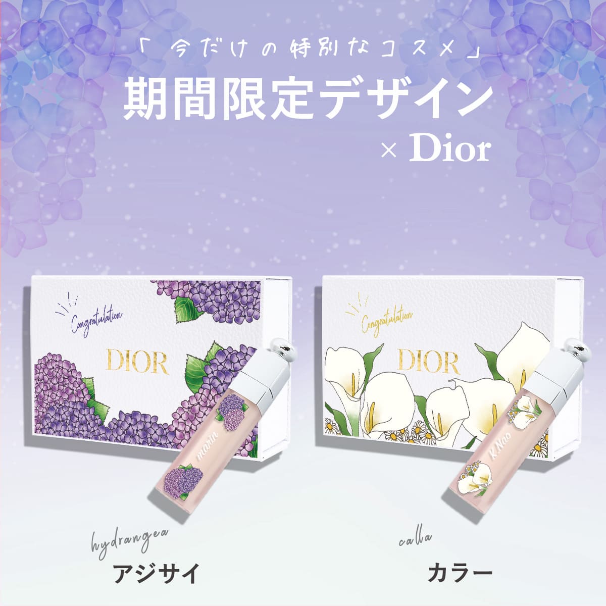 Dior ディオール ハンドクリーム リップ セット アディクト