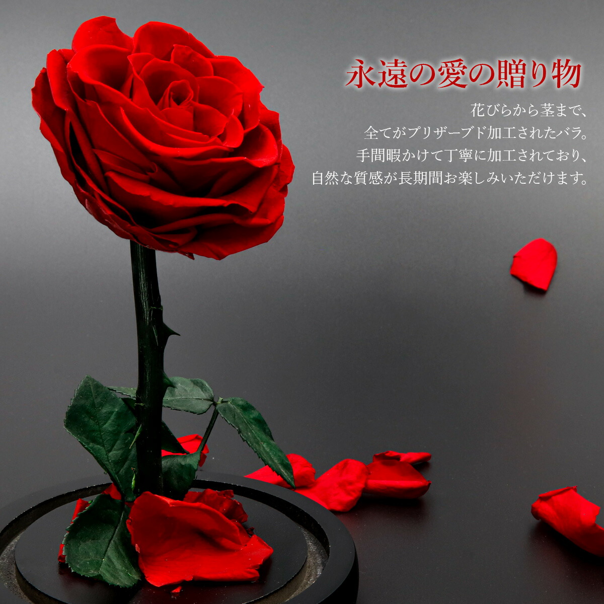 ✨人気商品✨記念日美女と野獣ローズ 本物のバラで手作り保存花プレゼントお祝い