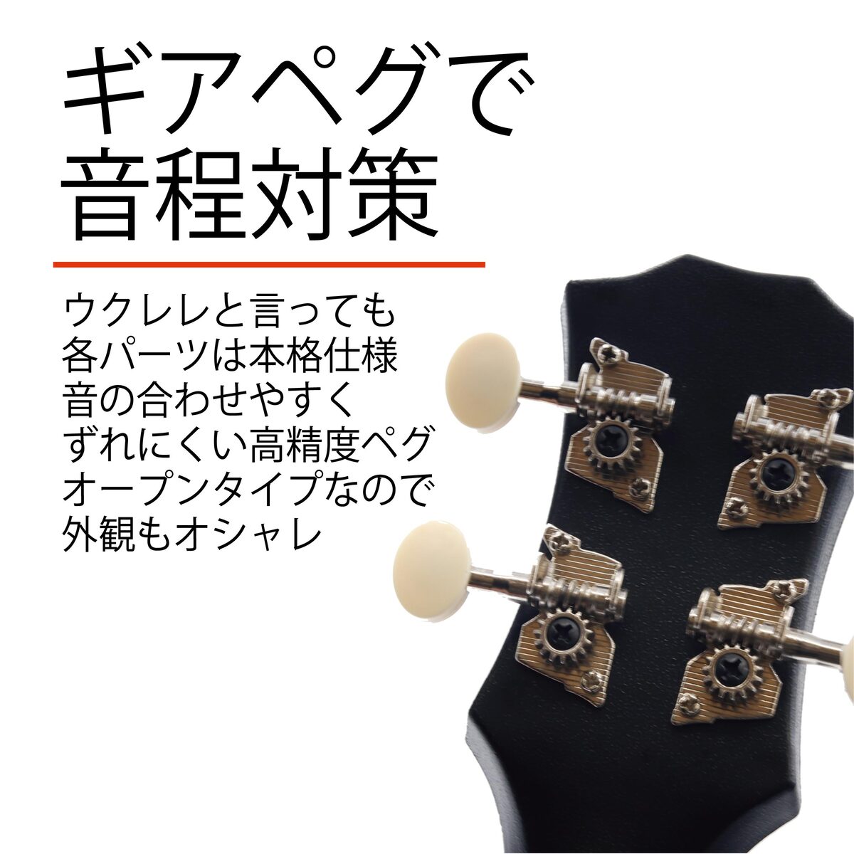 【入門セット】musicのソプラノ・ウクレレ【ウクレレ専門店】 ウクレレ 初心者 セット (安心 5点) SOPRANO 小さな ソプラノサイズ