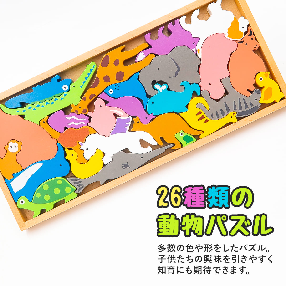 POMPOM PICASSO（ポムポムピカソ） 【名入れ】 知育玩具 パズル 木製
