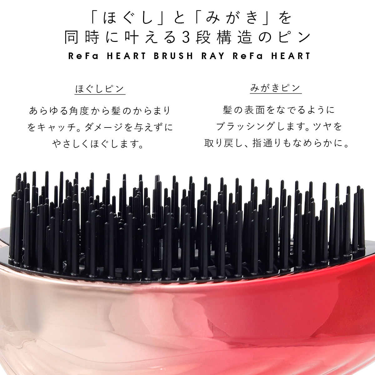 refa-021_2.jpg