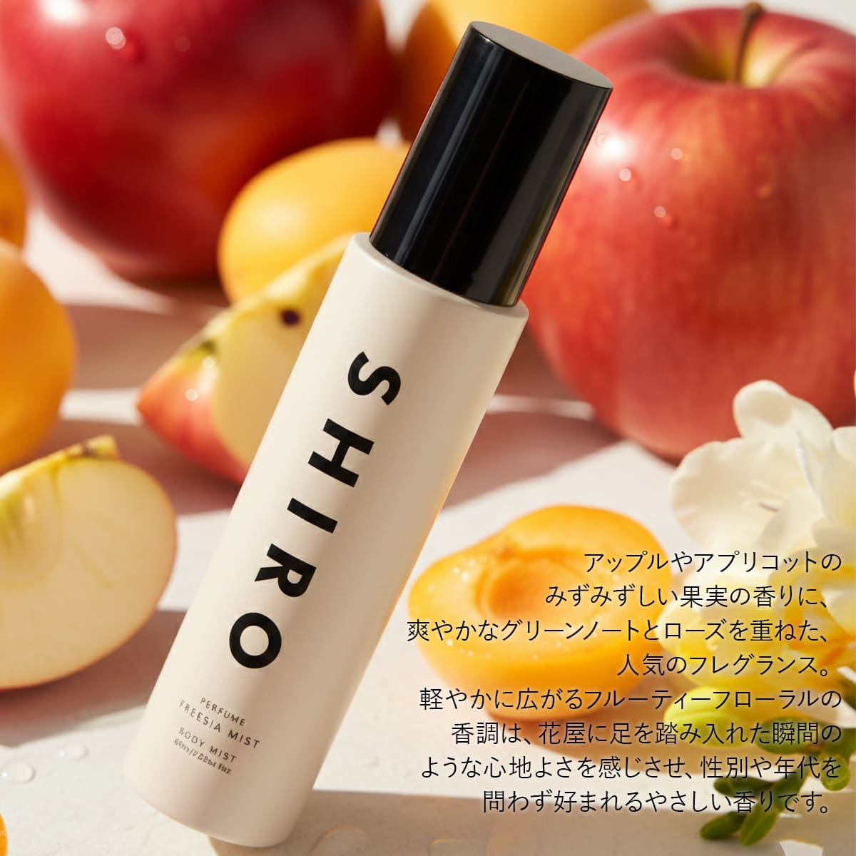 shiro-049_1.jpg