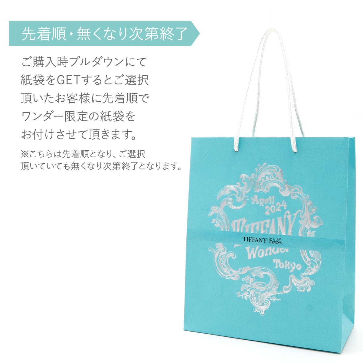 tiffanywonder-bag.jpg tiffanywonder-bag.jpg