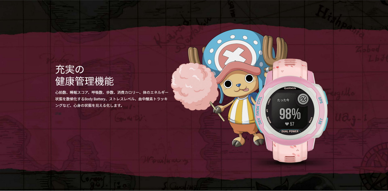 GARMIN ソーラー充電モデル ガーミン公式直販 nstinct 2S Dual
