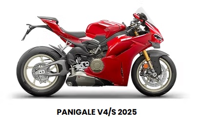 DV4-16】CARBONVANI DUCATI PANIGALE V4(パニガーレV4) キーカバー 艶