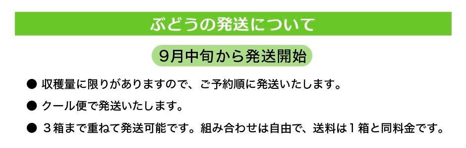 雅秋園ぶどう発送時期のご案内