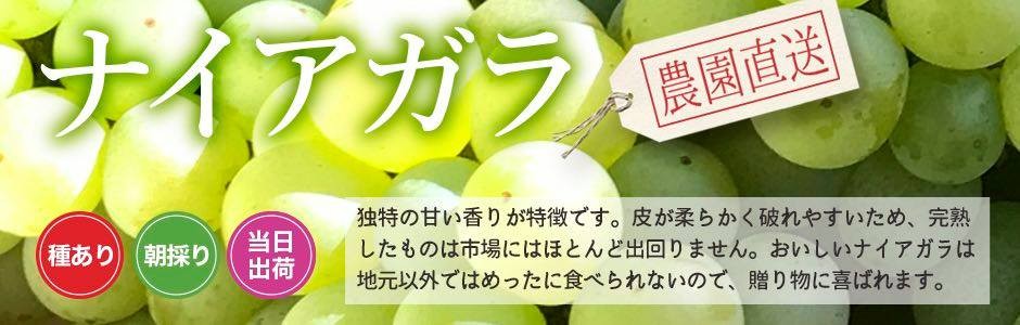 雅秋園ナイアガラ