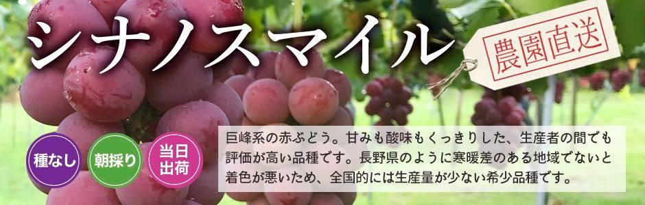 シナノスマイル2Kg（4〜5房） : 雅秋園-Yahoo!店 - 通販 - Yahoo