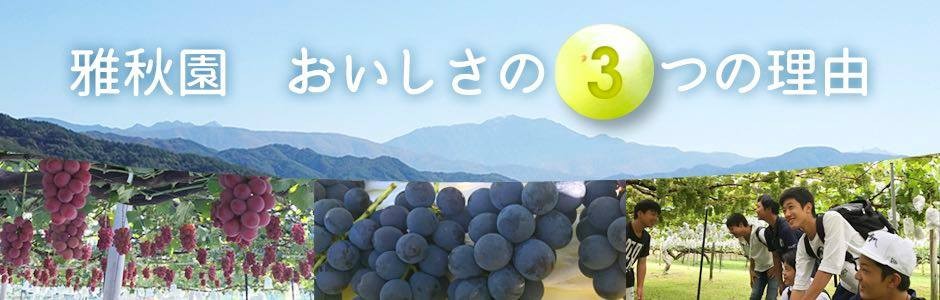 雅秋園のフルーツがおいしい理由