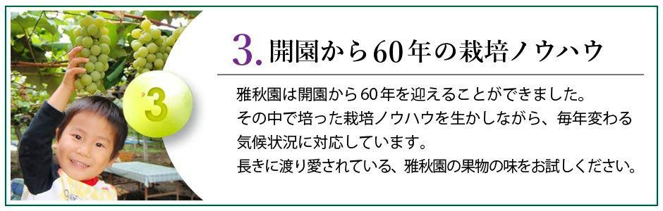 開園から60年の栽培ノウハウ