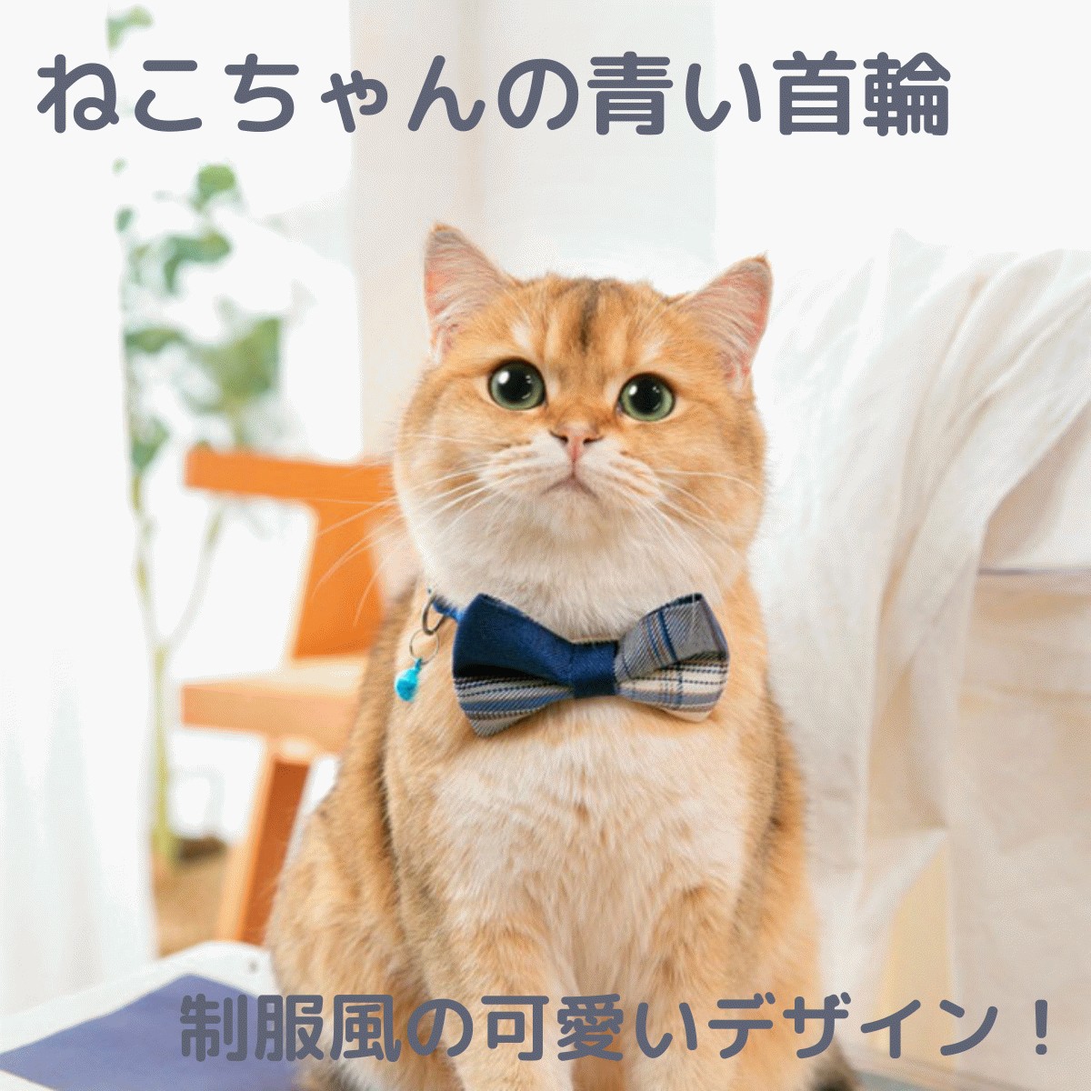 猫 首輪 制服 猫の首輪 おしゃれ 猫用 子猫 リボン ねこ ネコ