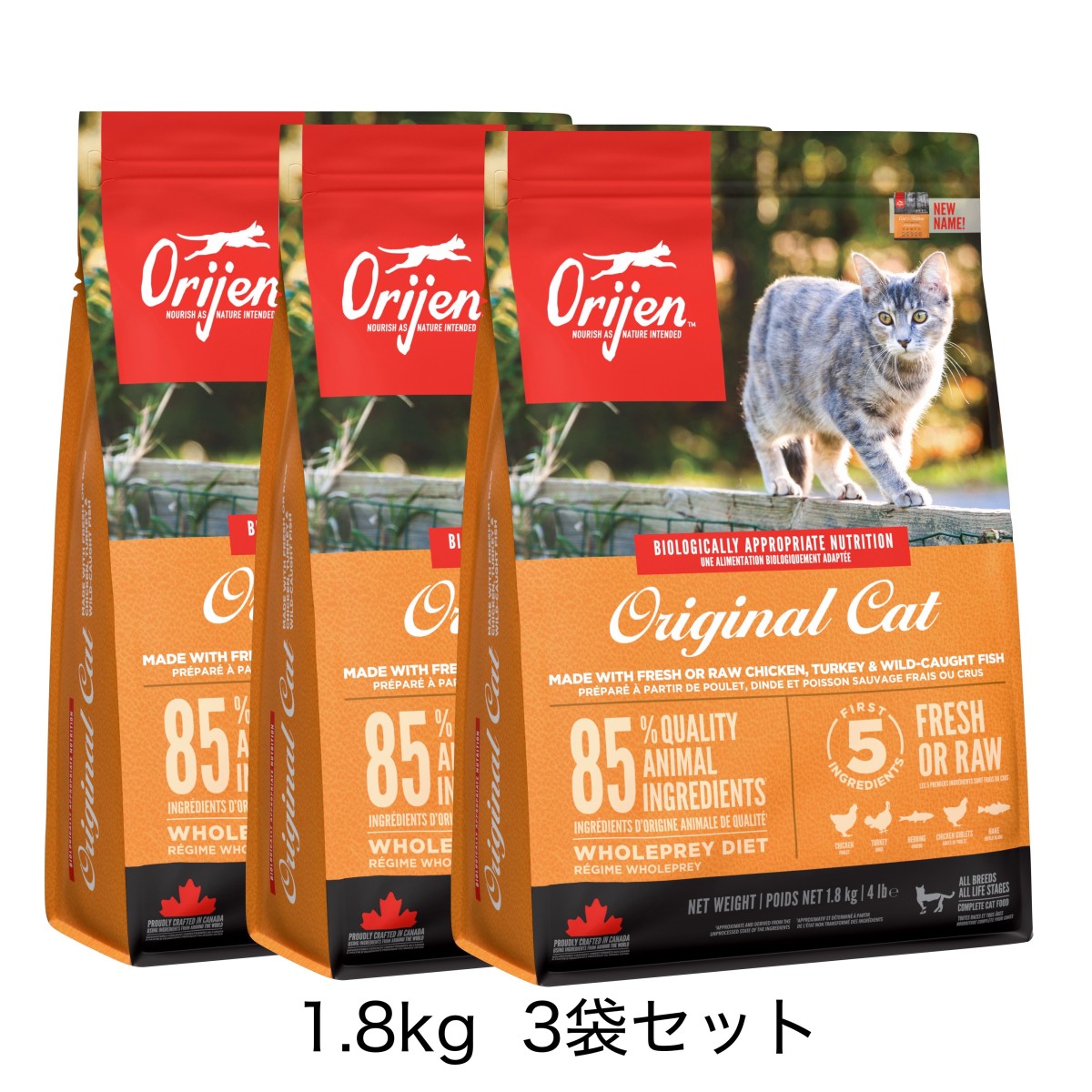 オリジン オリジナル キャット 1.8kg 3個セット 正規品