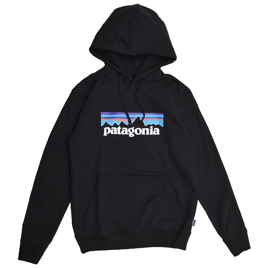 Patagonia パタゴニア パーカー プルオーバー メンズ 39539 M's P-6