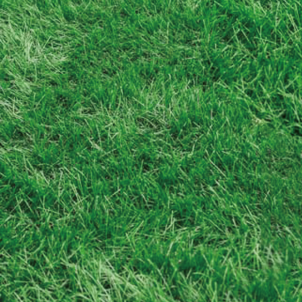 人工芝 ロール 2m×5m 芝丈50mm 芝生マット 人工芝生 ガーデン