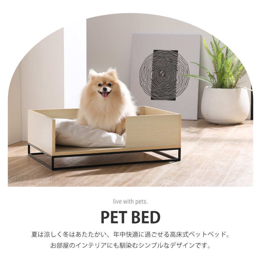 ペット ベッド ふわふわ 高床式 クッション付き 犬 猫 小型犬 室内犬 