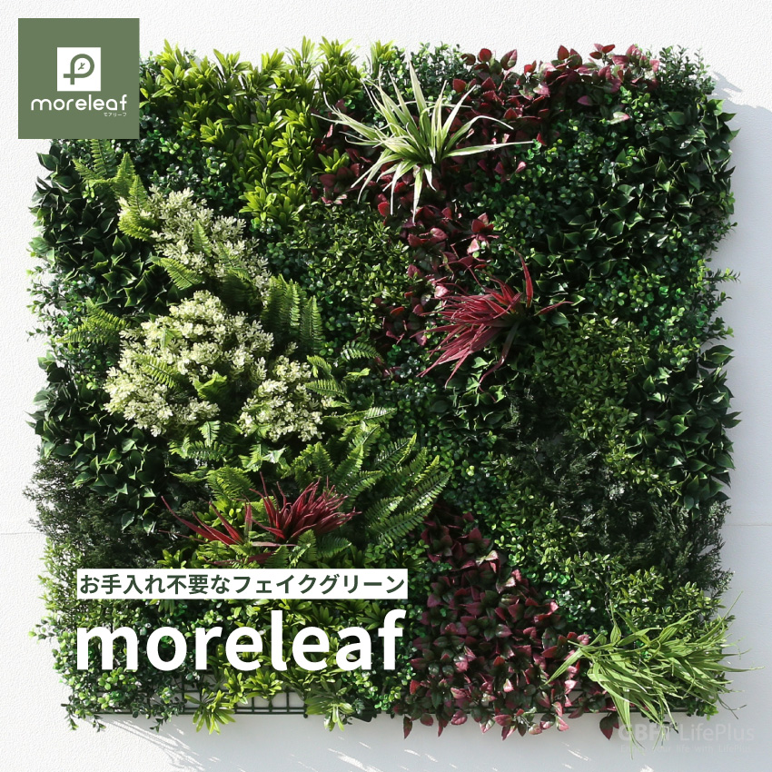 moreleaf