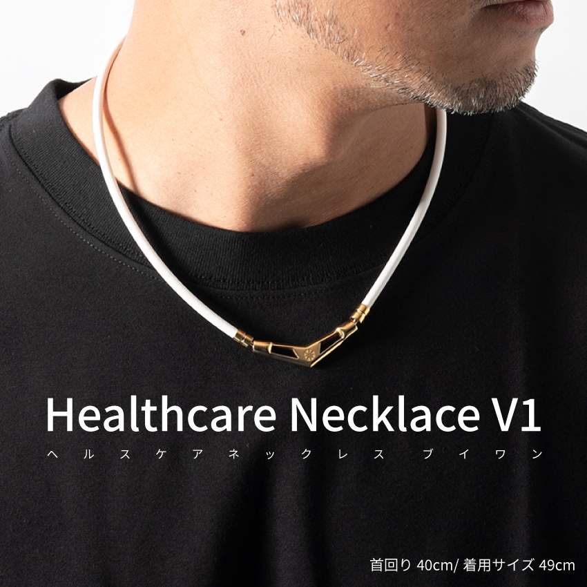 BANDEL バンデル V1 49cm 54cm ブラック ゴールド シルバー