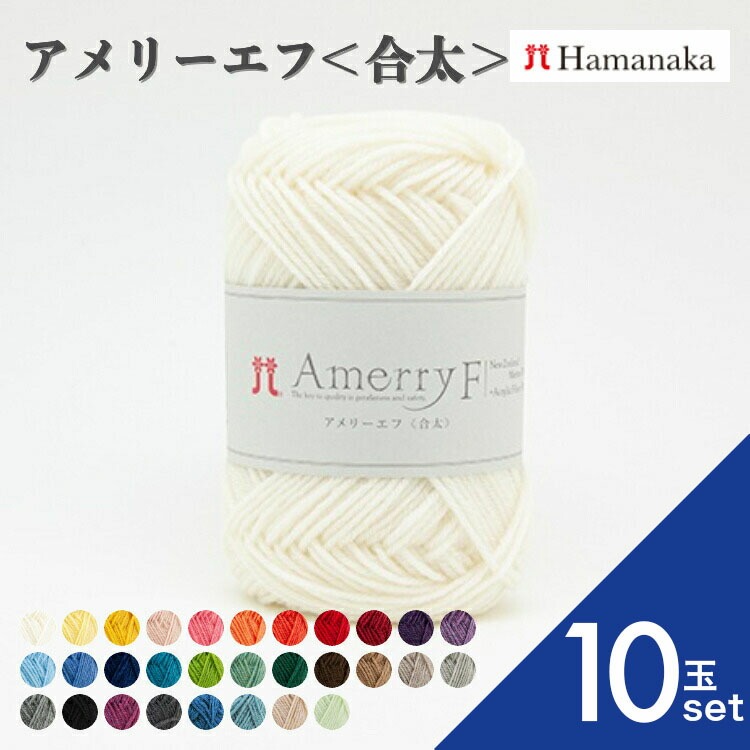 10玉セット 毛糸 Hamanaka ハマナカ アメリーエフ＜合太＞毛糸 編み物 