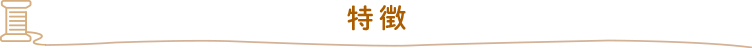 特徴
