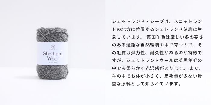 ダルマ 毛糸 シェットランドウール 5玉セット 01-6380 毛 ウール